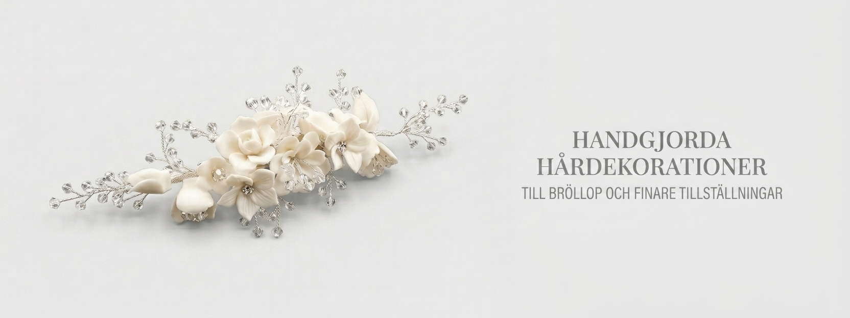 Offer Banner